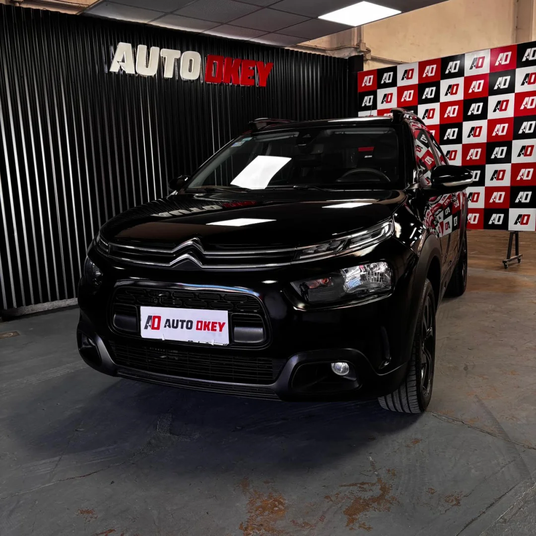 C4 CACTUS