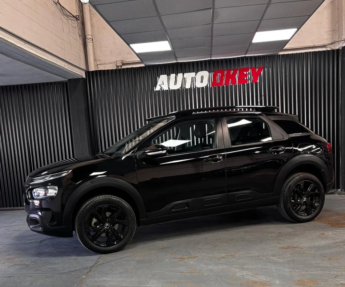 C4 CACTUS