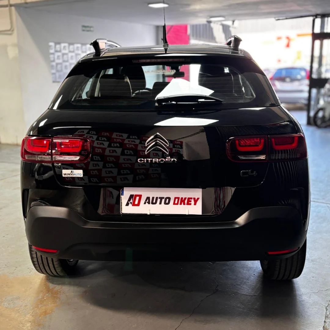 C4 CACTUS