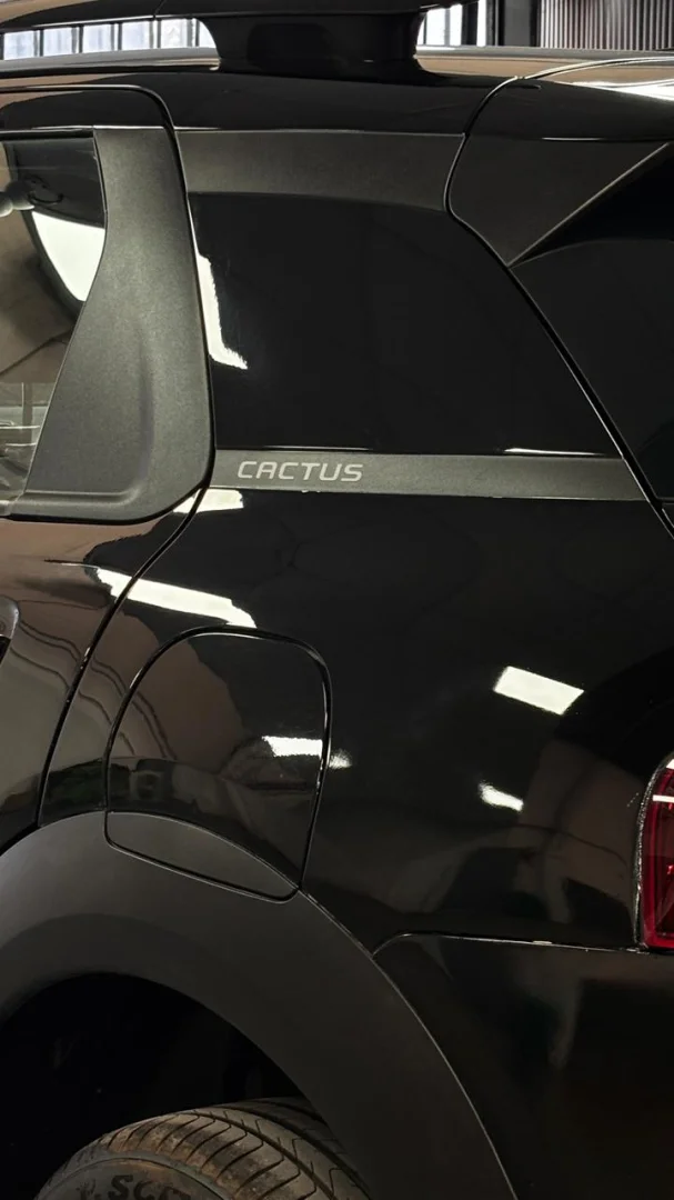 C4 CACTUS