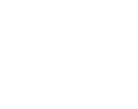 Logo Auto OK en blanco